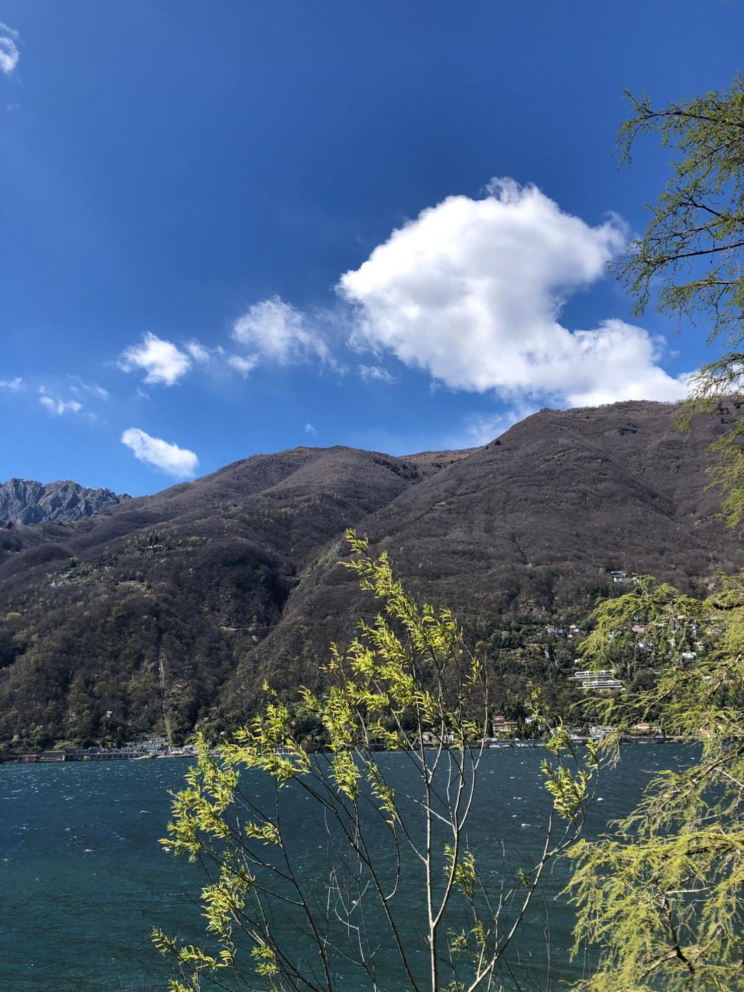 GambarognoAl Grottino住宿加早餐旅馆 外观 照片